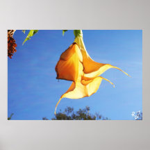 Dangling in the Sky Print