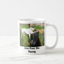 Daniele's visit 039, LIve Fast Die Young Coffee Mug