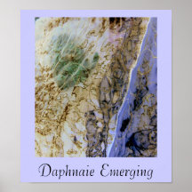Daphnaie Emerging Posters