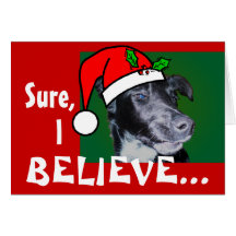 Daphne Believes Cards
