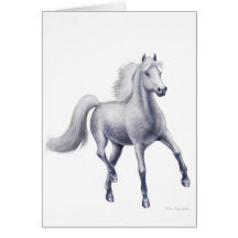 Dappled Grey Arabian Horse Card