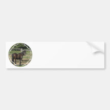 Dark Bay Thoroughbred Bumper Sticker