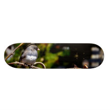 Dark-Eyed Junco Sparrow on Branch Skateboard Deck