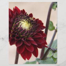 Dark Red Flower Flyer Design