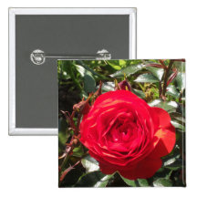 Dark Red Rose Button