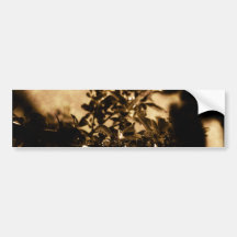 Dark Tree Bumper Stickers