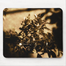 Dark Tree Mousepads