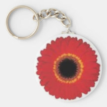 darlicia key chains