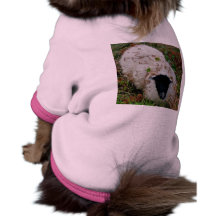Dartmoor Sheep In Hideing Dog T-shirt