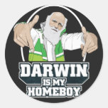 Darwin Is My Homeboy (Full Colour) Round Stickers