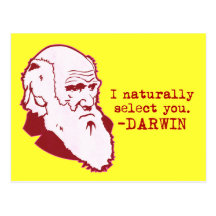 Darwin Postcard