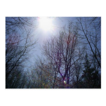 Day at the park postcards