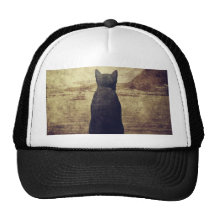 Day Dream Mesh Hats