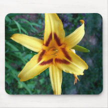 Day Lilly Mousepad