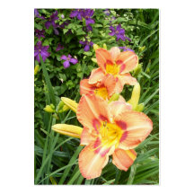 Day Lily 18 ~ ATC Business Cards