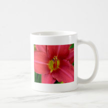 Daylily red with yellow throat, Mug