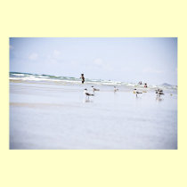 Days at the beach posters