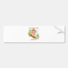 Daytona 2012 bumper sticker