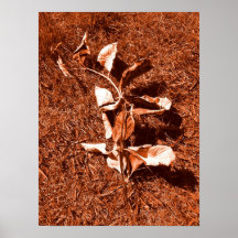 Dead Posters