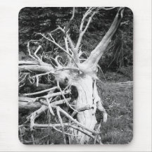 Dead Tree Black and White Photograph Mousepads