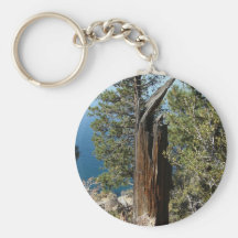 Dead Tree Keychain