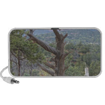dead wood iPod speakers