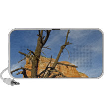 dead wood tree iPhone speaker