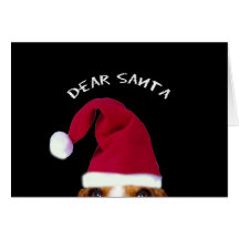 Dear Sant, I can explain...... Greeting Cards