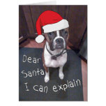 Dear Santa I Can Explain Card
