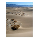 Death Valley Dunes 3 Postcards