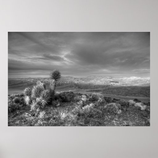 Death Valley Overlook Print