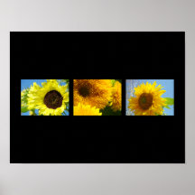 Deco Art prints Botanical Floral Sunflowers yellow