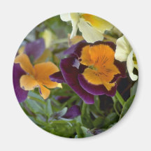Decorated Colours Refrigerator Magnet