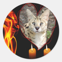 Decorative African Serval Cat Stickers