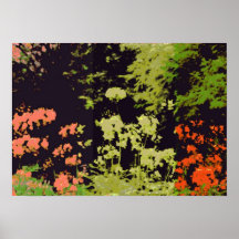 DECORATOR POSTER AND PRINTS