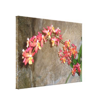 Deep Pink Orchids Wrapped Canvas Stretched Canvas Prints