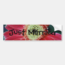 Deep Red Bumper Stickers