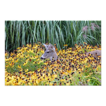 Deer Fawn in Flower Garden Photographic Print