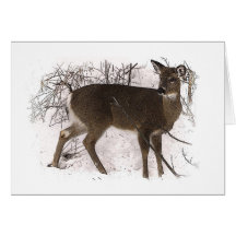 Deer in Snow Father's Day Greeting Cards