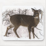 Deer in Snow Mouse Pad