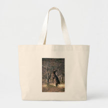 Deer standing to browse bags
