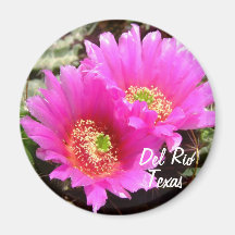 Del Rio Texas souvenirs pink cactus flower Fridge Magnets