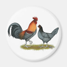 Delaware Blue Hen Fridge Magnets