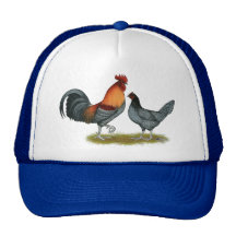Delaware Blue Hen Trucker Hat