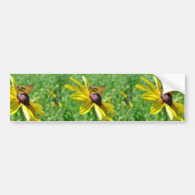 Delaware Skipper on Black-eyed Susan Bumper Sticker
