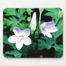 Delicate Beauties Mouse Pad