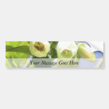 Delicate Blueberry Blossoms Bumper Stickers