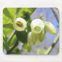 Delicate Blueberry Blossoms Mousepads