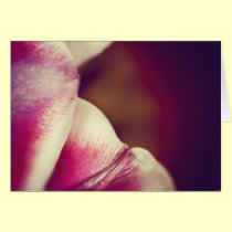 Delicate card cards