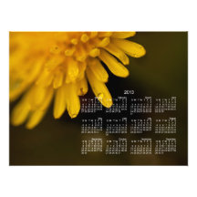 Delicate Dandelion; 2013 Calendar Photograph
